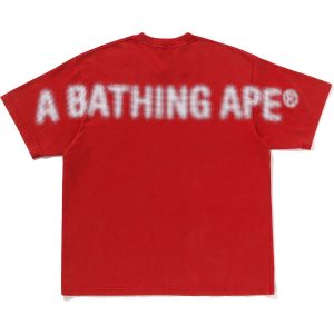 PIGMENT PRINT APE HEAD RELAXED FIT TEE MENS