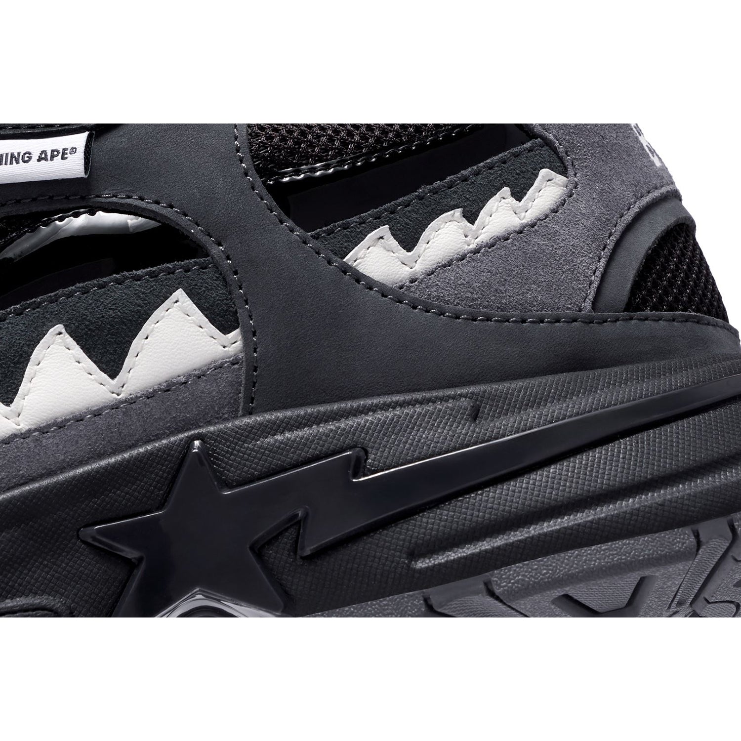 SHARK STA #1 MENS - Image 6