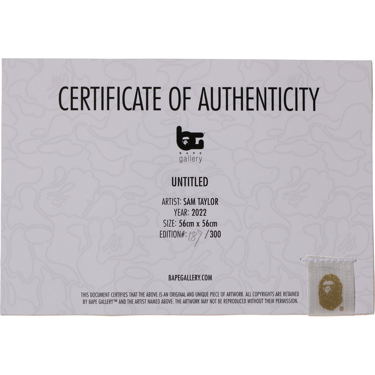 UNTITLED by SAM TAYLOR - Image 3