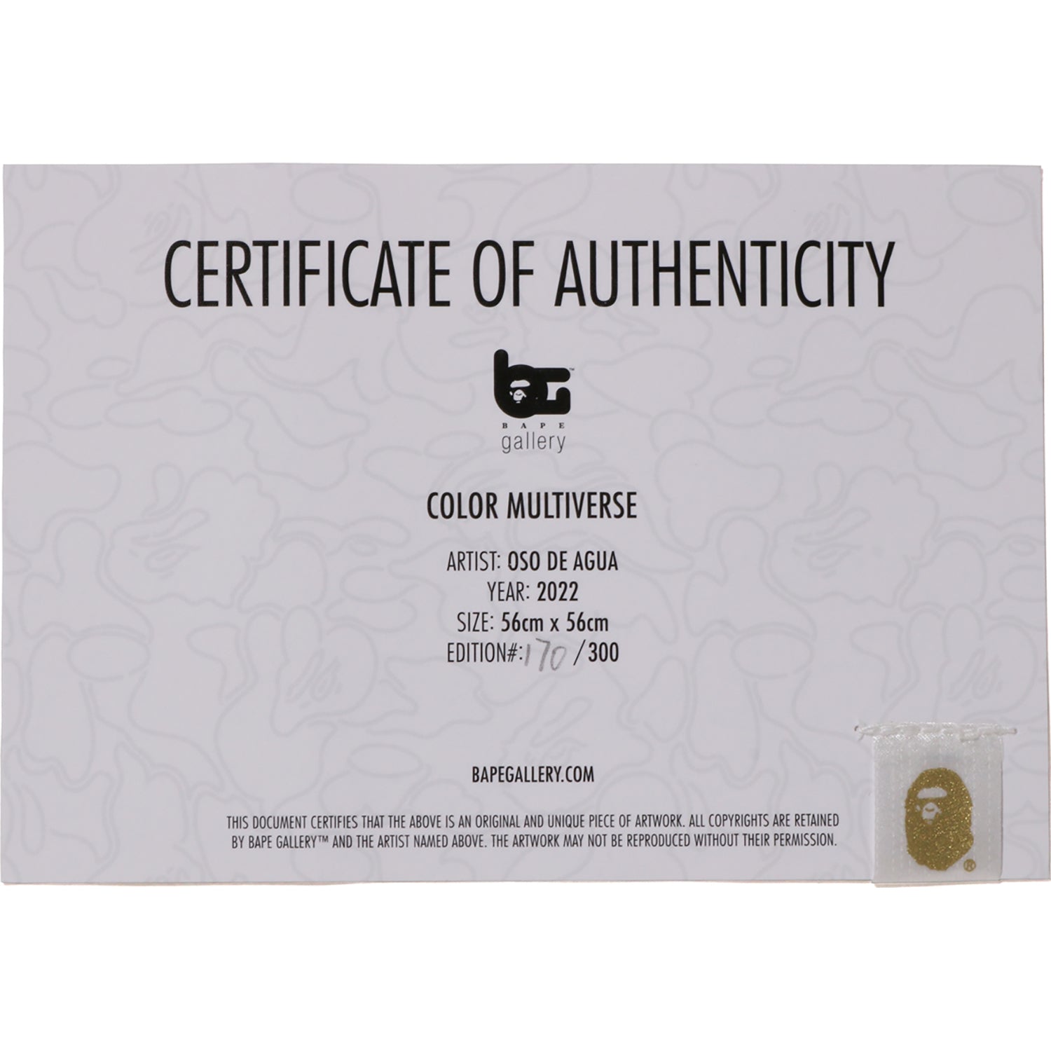 COLOR MULTIVERSE by OSO DE AGUA - Image 3